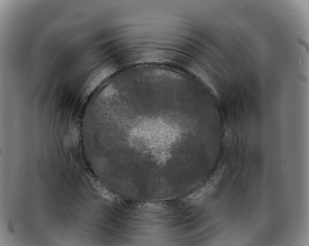 X0000096390874200801311319