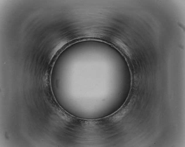 X0000096390875200801311319