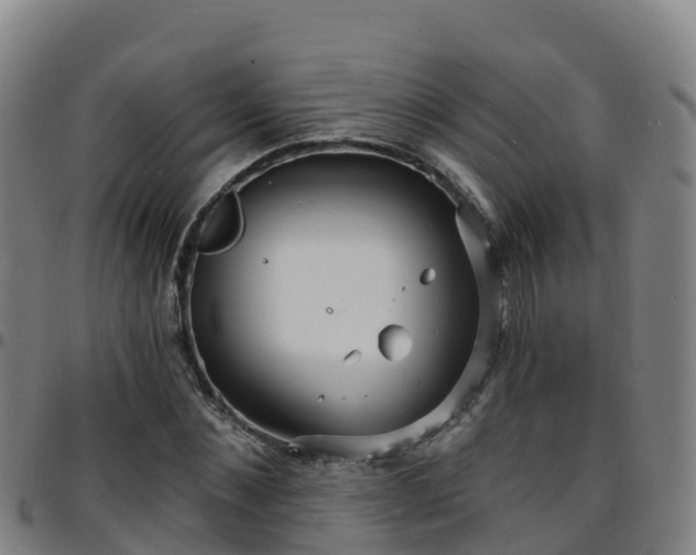 X0000096390876200801311319