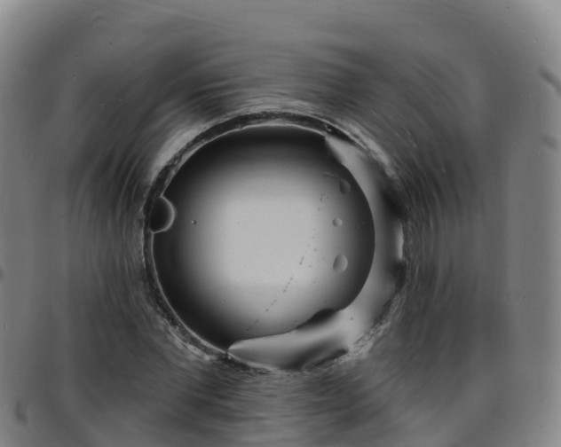 X0000096390877200801311319
