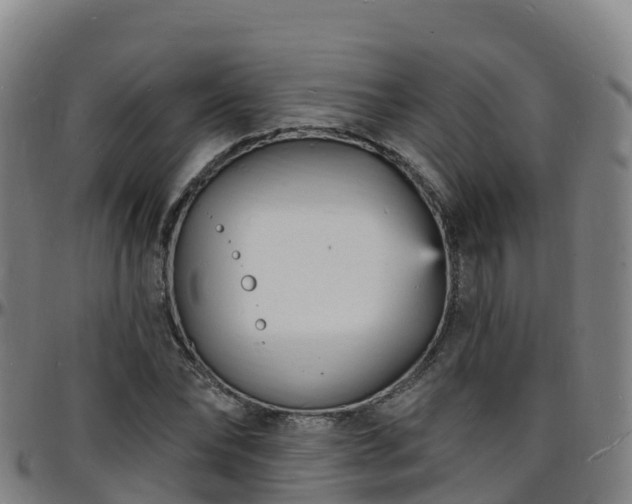 X0000096390878200801311319