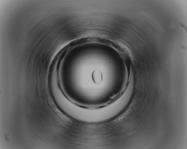 X0000096390880200801311319