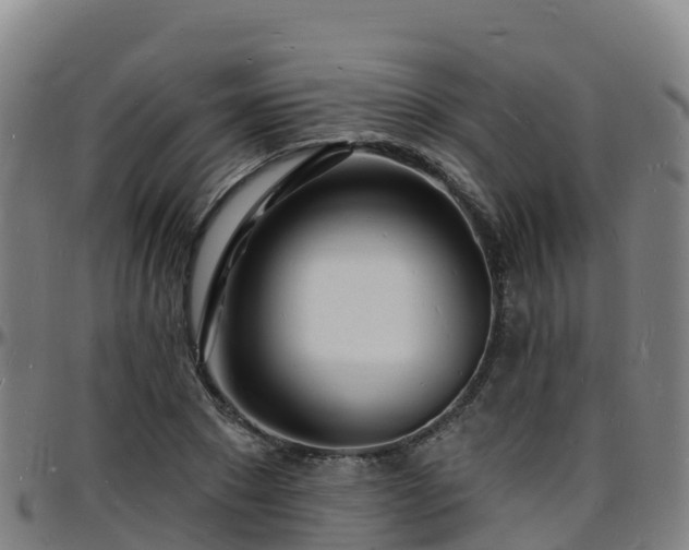X0000096390881200801311319