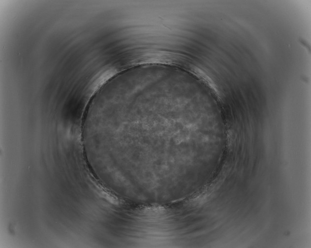 X0000096390882200801311319