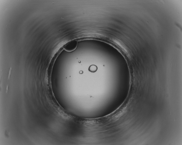 X0000096390883200801311319