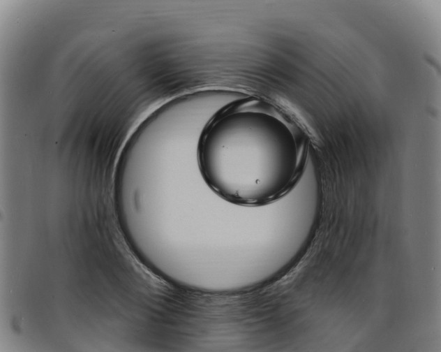 X0000096390884200801311319