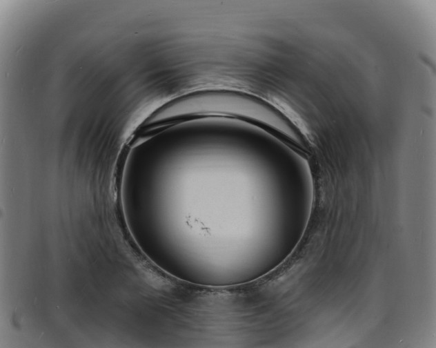 X0000096390885200801311319