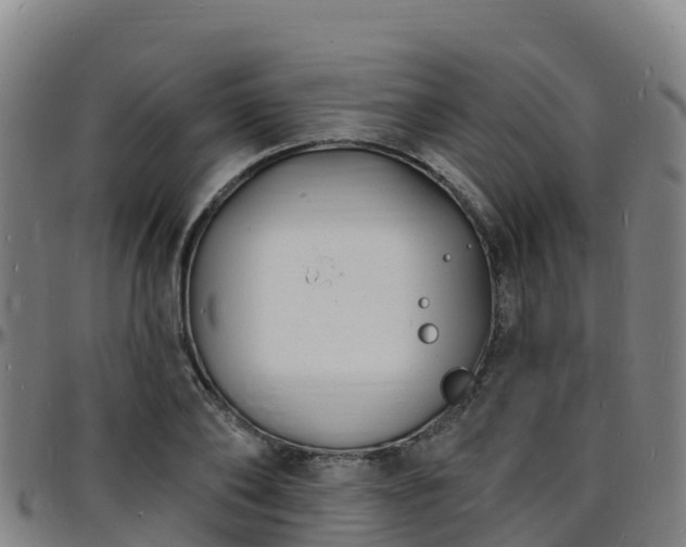 X0000096390886200801311319