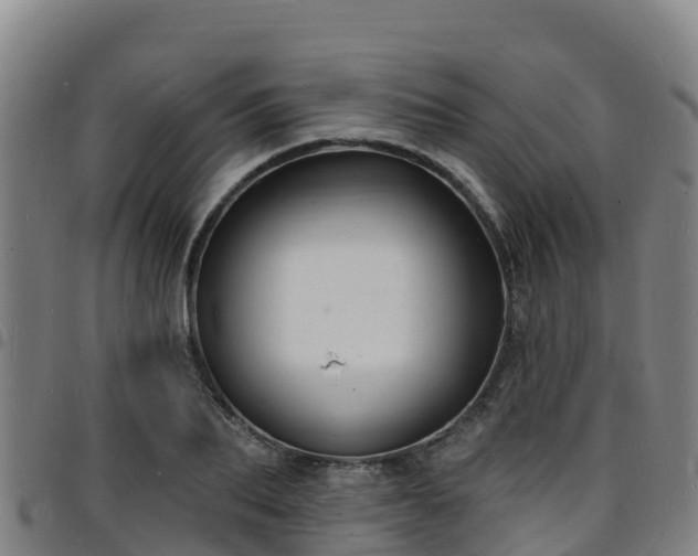 X0000096390887200801311319