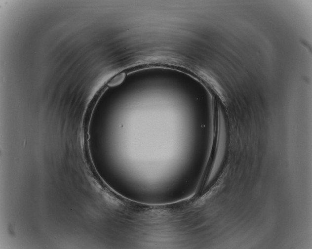 X0000096390888200801311319