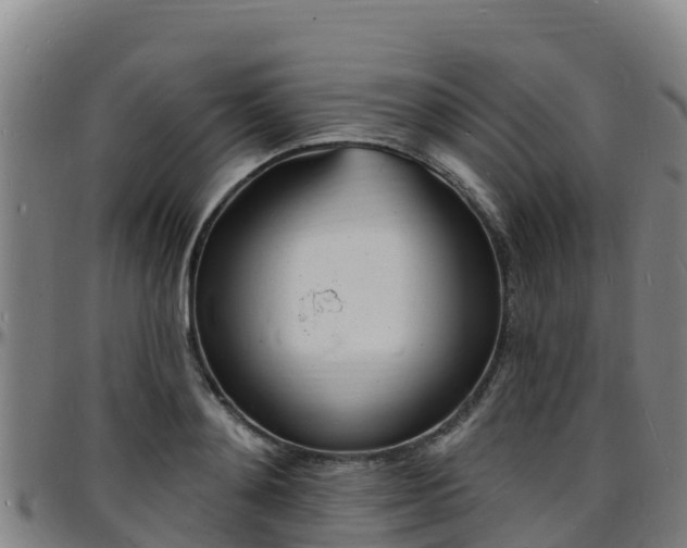 X0000096390892200801311319