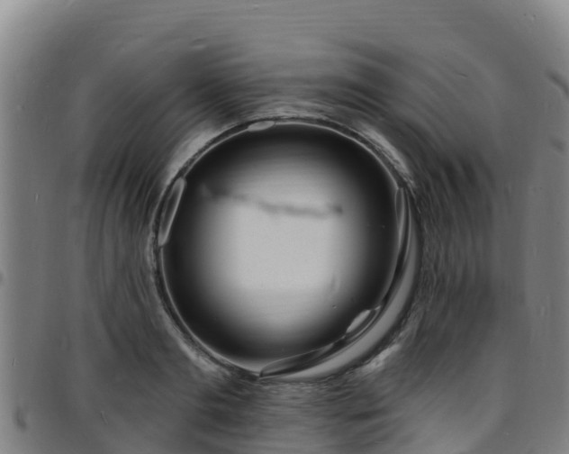 X0000096390893200801311319
