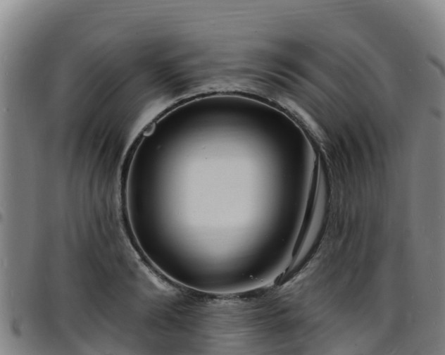 X0000096390894200801311319