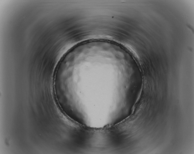 X0000096390895200801311319