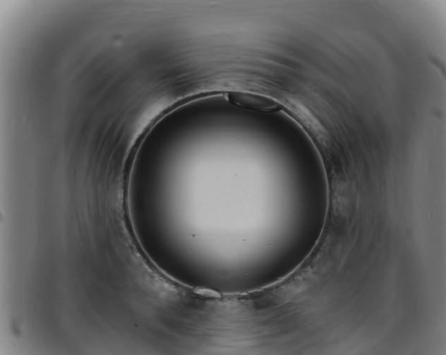 X0000096390896200801311319