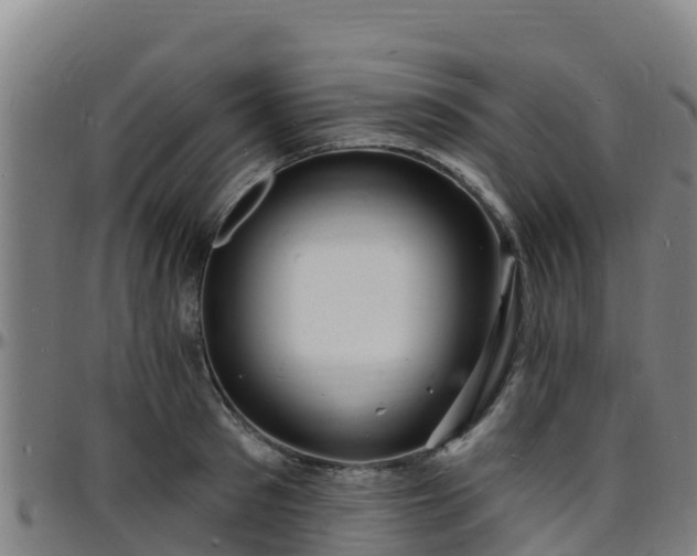 X0000096390897200801311319