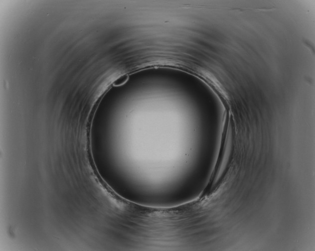 X0000096390898200801311319