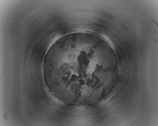 X0000096390899200801311319