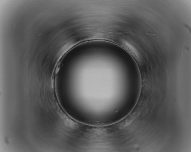 X0000096390900200801311318