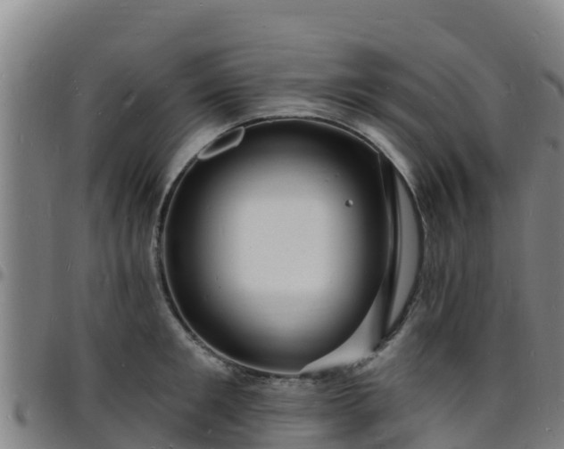 X0000096390901200801311318