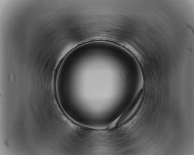 X0000096390902200801311318