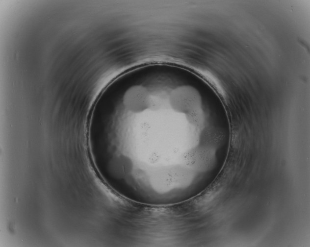 X0000096390903200801311318