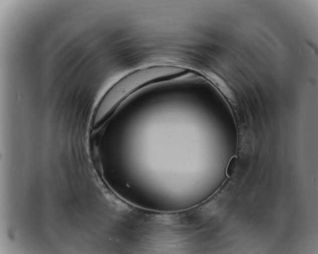X0000096390904200801311318