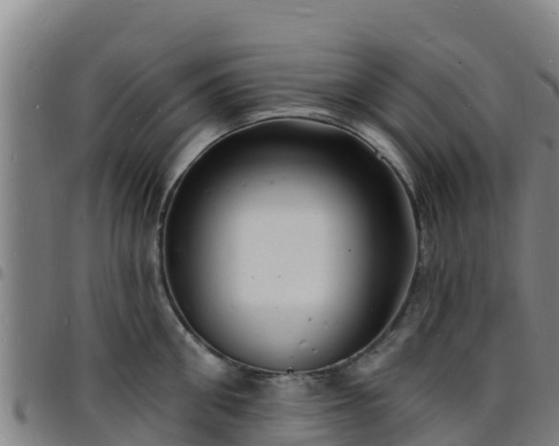 X0000096390906200801311318