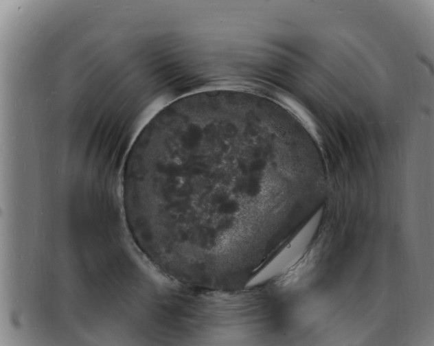 X0000096390907200801311318