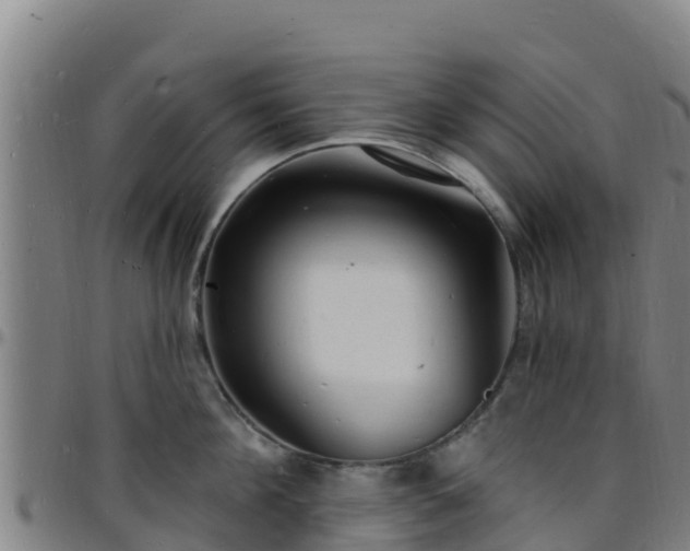 X0000096390908200801311318
