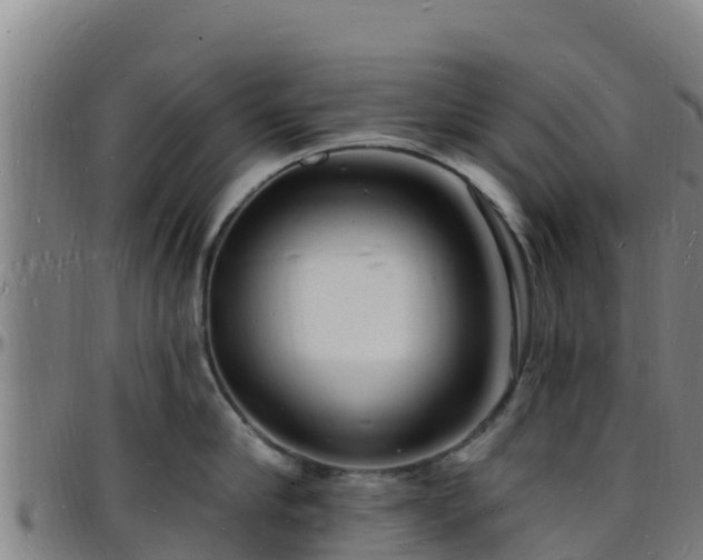 X0000096390910200801311318