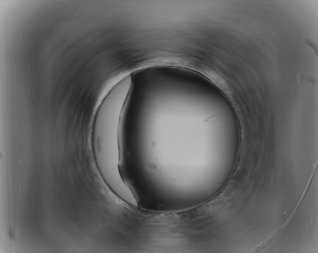X0000096390912200801311318