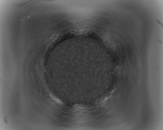 X0000096390913200801311318