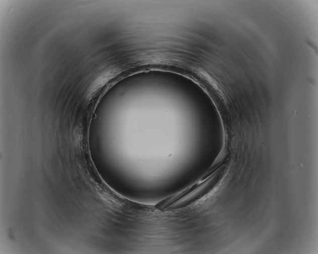 X0000096390922200801311318