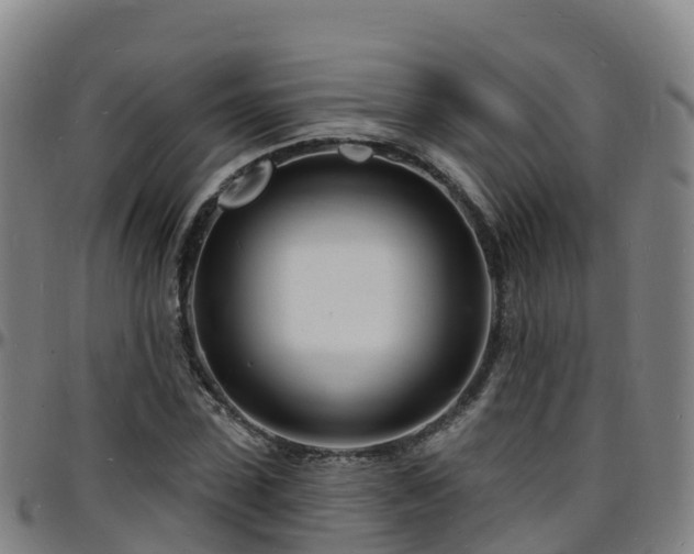 X0000096390923200801311318
