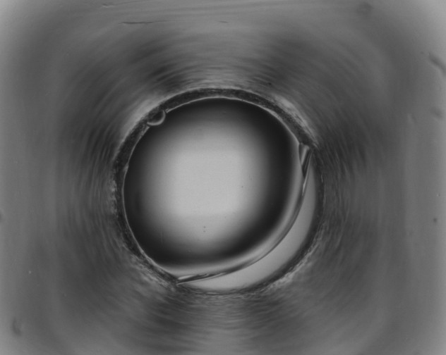 X0000096390926200801311318