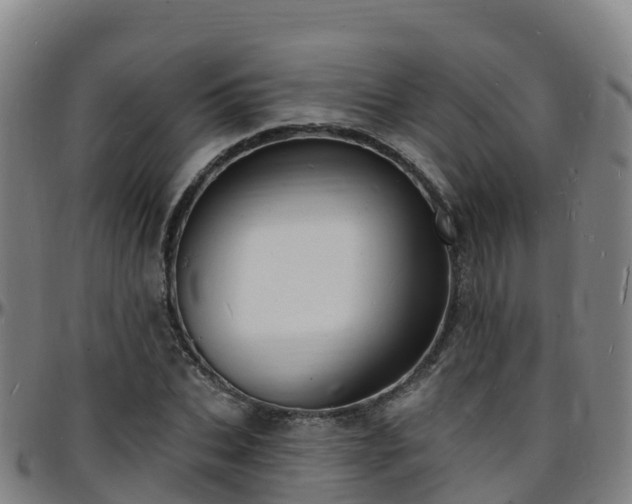 X0000096390927200801311318