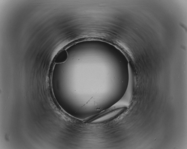 X0000096390928200801311318