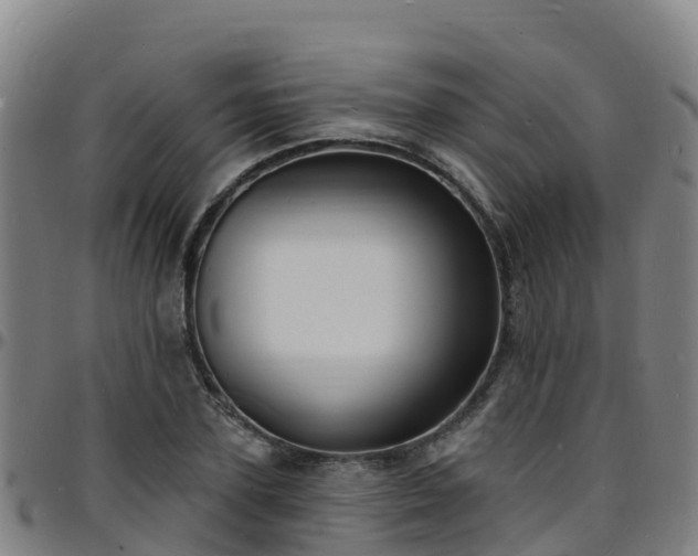 X0000096390931200801311318