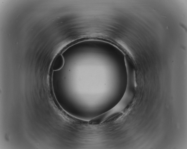 X0000096390932200801311318