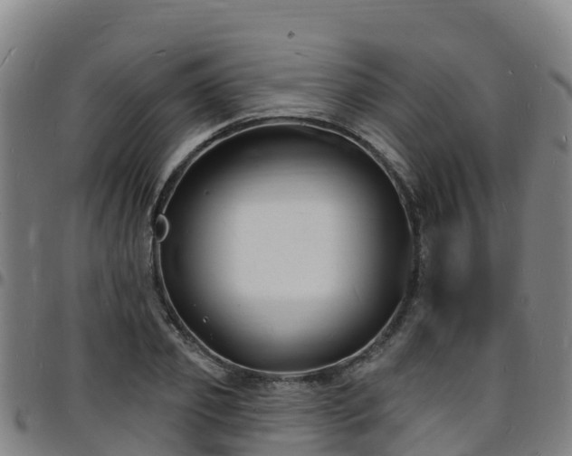 X0000096390933200801311318
