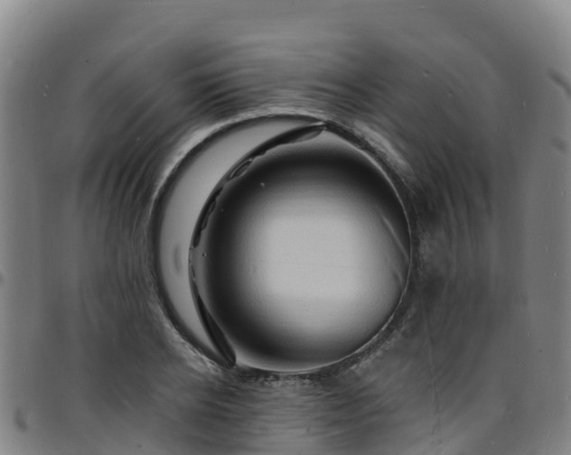 X0000096390934200801311318