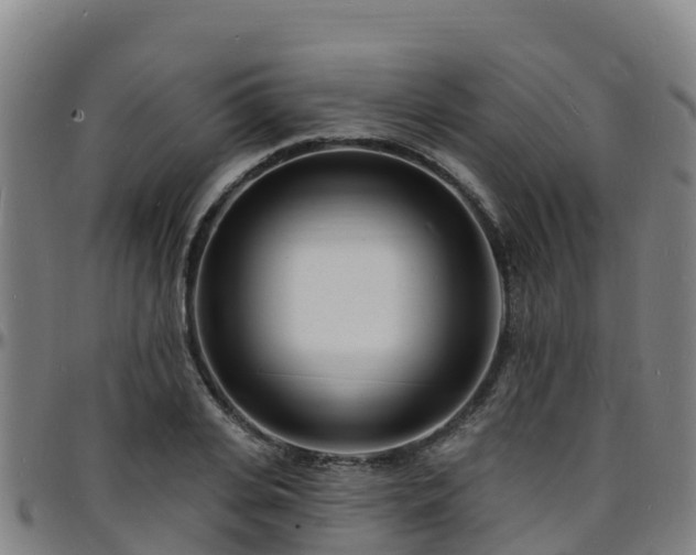 X0000096390935200801311318