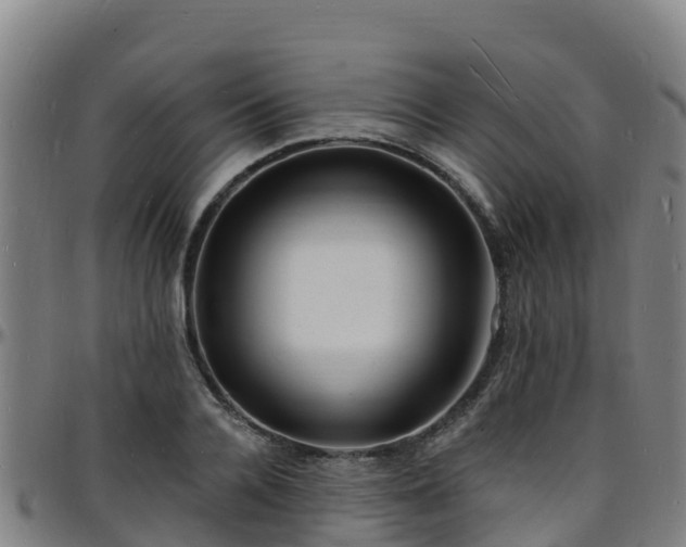 X0000096390936200801311318