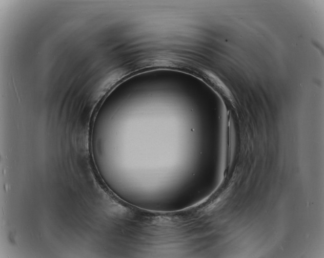 X0000096390938200801311318