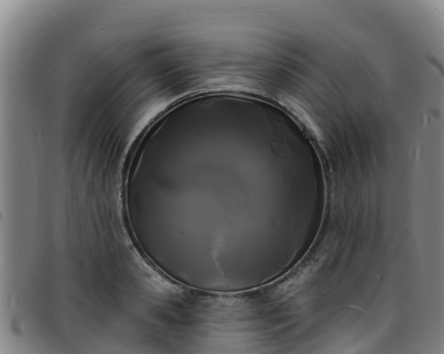X0000096390941200801311318
