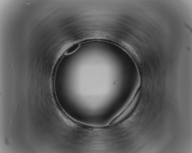 X0000096390942200801311318