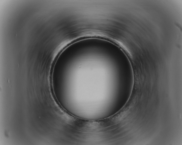 X0000096390943200801311318