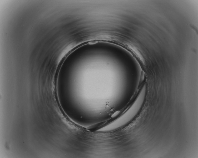 X0000096390944200801311318