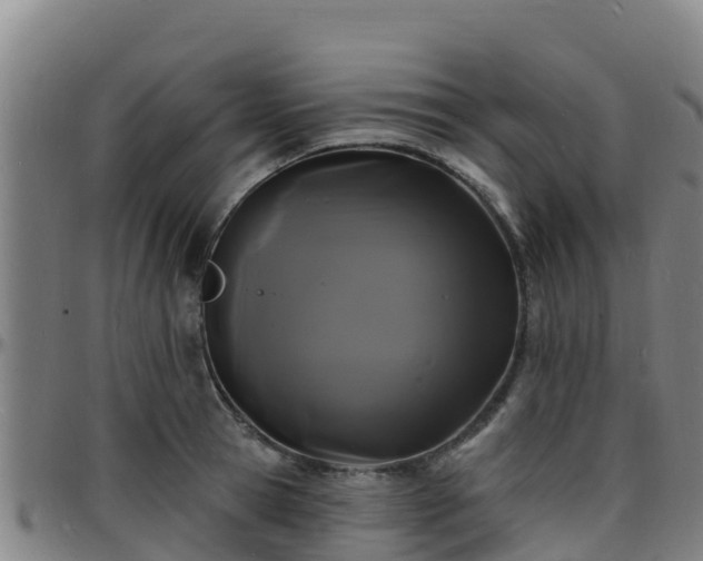 X0000096390945200801311318
